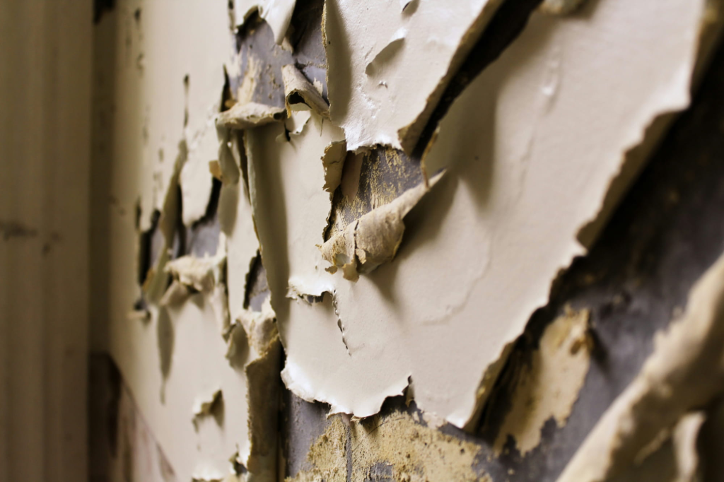 Mould Remediation Services in Cornwall: Protecting Your Home from Mould Growth 1 Mould Remediation Services in Cornwall