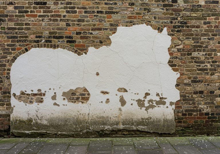 Mould Remediation Services Plymouth: Protecting Heritage Buildings with Expert Care