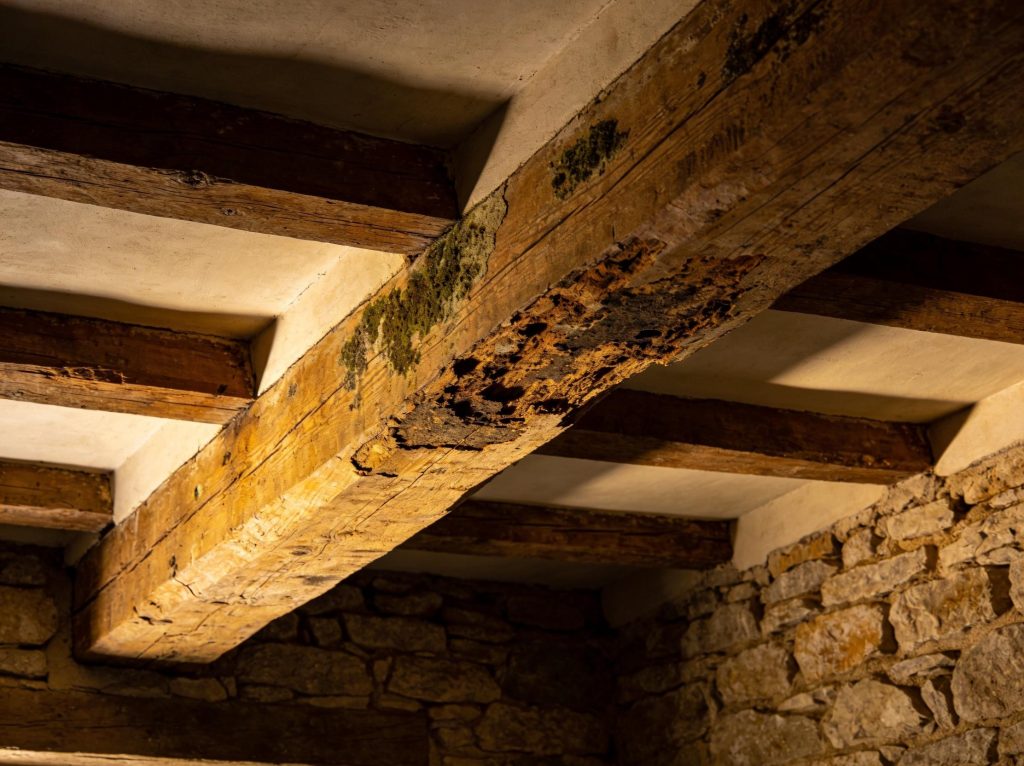 7 Warning Signs of Damp in Old Houses Cornwall Every Owner Should Know 2 Rotting Timber Skirting Boards and Floorboards